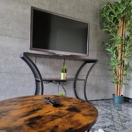 Luxury Apartment
